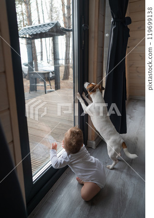 Cute baby boy and Jack Russell terrier dog looking through the patio window. Vertical photo. Cute baby boy and Jack Russell terrier dog looking through the patio window. Vertical photo. 119699138