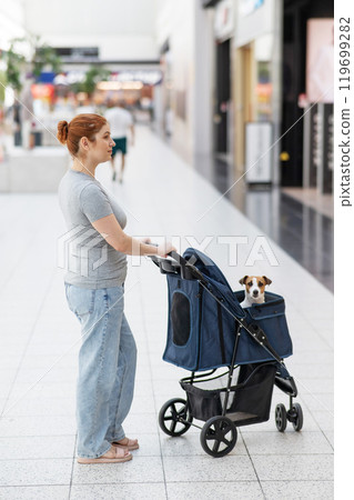 A Caucasian woman walks along the mall with her Jack Russell Terrier dog in a stroller. Vertical photo.  119699282