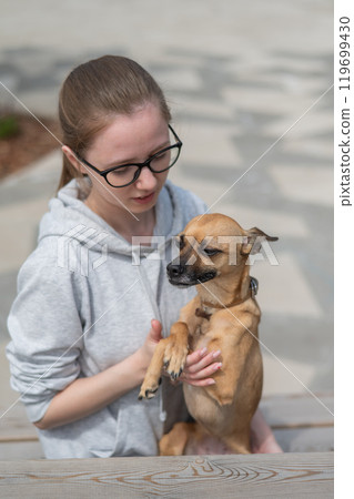 Caucasian woman walking with Russian toy terrier dog. Caucasian woman walking with Russian toy terrier dog. 119699430