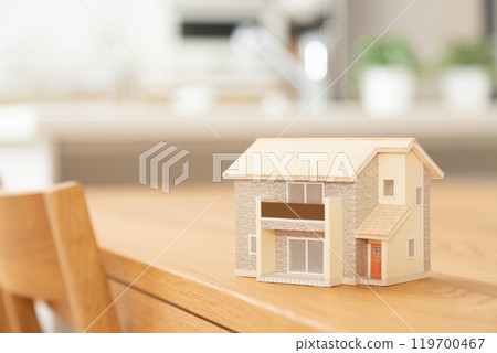 A model house placed in the living/dining/kitchen area 119700467