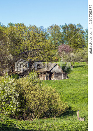Rural Russian landscape, vertical photography taken on a summer day Rural Russian landscape, vertical photography taken on a summer day 119700875