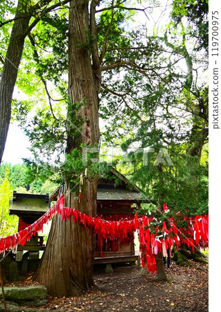 Tono Heritage: Unotori Shrine Tono Heritage: Unotori Shrine 119700975