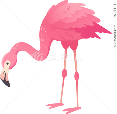 Cartoon flamingo bending its long neck looking for food, isolated on white background Cartoon flamingo bending its long neck looking for food, isolated on white background 119701181