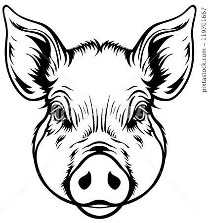 Black Drawing of Piggy Head Black Drawing of Piggy Head 119701667