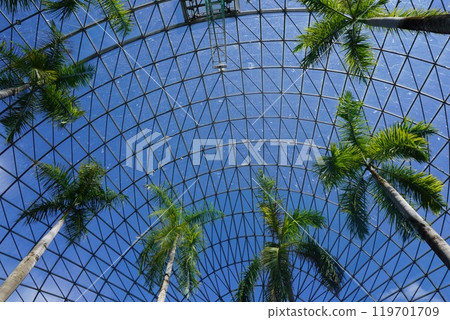 日本最大的花卉公園“Totori Flower Corridor”：Flower Dome 119701709