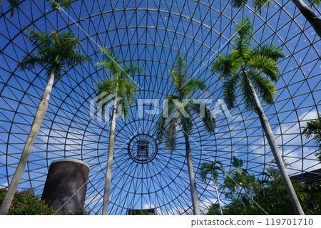 Japan's Largest Flower Park "Totori Flower Corridor": Flower Dome Japan's Largest Flower Park "Totori Flower Corridor": Flower Dome 119701710