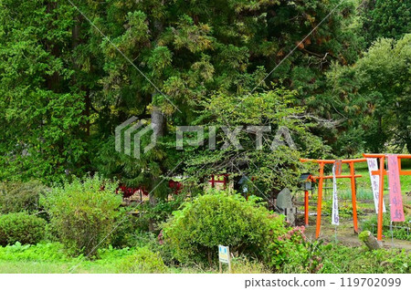 遠野遺產羽鳥神社 遠野遺產羽鳥神社 119702099