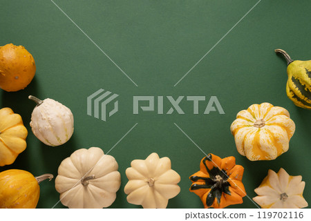 Autumn frame of colorful different decorative small pumpkins on green background. Harvest day concept. Top view. Thanksgiving Day. Flat lay style. Autumn frame of colorful different decorative small pumpkins on green background. Harvest day concept. Top view. Thanksgiving Day. Flat lay style. 119702116