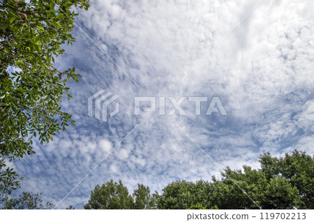 Blue sky background with white clouds and green trees 119702213
