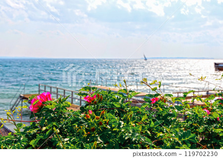Beautiful seascape with sailing boat in the distance and pier 119702230