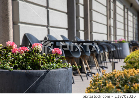 Terrace with outdoor furniture, lounge chairs and flowers in a pot on a sunny day. 119702320