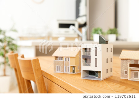 A model house placed in the living/dining/kitchen area A model house placed in the living/dining/kitchen area 119702611