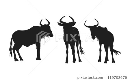 Isolated silhouette of wildebeests. African scene of savannah animals. Antelope gnu portrait. Zoo clipart 119702676
