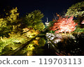 Kyoto: Toji Temple illuminated in autumn colors 119703113