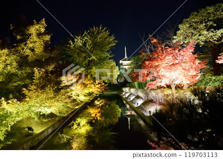 京都：東寺在秋葉中點亮 119703113
