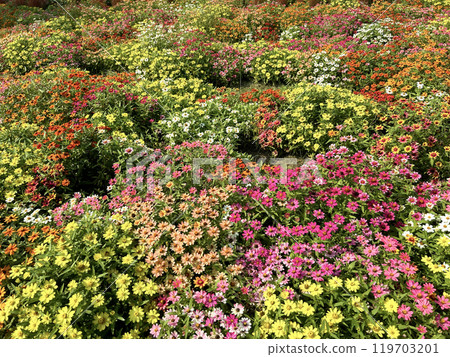 多彩的罪人 多彩的罪人 119703201