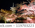 Kyoto: Toji Temple in autumn and the illuminated five-story pagoda 119703223