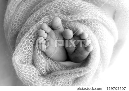 Foot of a newborn. Close up feet, toes, heels, feet of a newborn baby. Studio monochrome, vintage style, black and white macro photography. 119703507