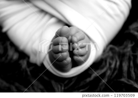 Foot of a newborn. Close up feet, toes, heels, feet of a newborn baby. Studio monochrome, vintage style, black and white macro photography. 119703509