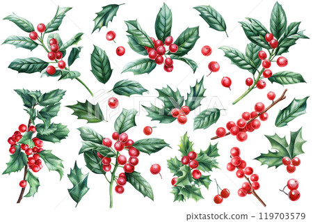 Vibrant watercolor Christmas decoration set with classic holly, vintage lush winter greenery and red berries isolated 119703579