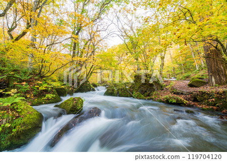 Towada City, Aomori Prefecture Oirase Gorge with Autumn Leaves 119704120