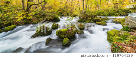 Towada City, Aomori Prefecture Oirase Gorge with Autumn Leaves Towada City, Aomori Prefecture Oirase Gorge with Autumn Leaves 119704129