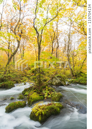 Towada City, Aomori Prefecture Oirase Gorge with Autumn Leaves 119704134