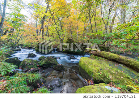 Towada City, Aomori Prefecture Oirase Gorge with Autumn Leaves 119704151