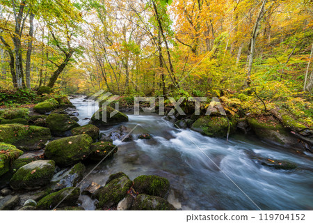 Towada City, Aomori Prefecture Oirase Gorge with Autumn Leaves Towada City, Aomori Prefecture Oirase Gorge with Autumn Leaves 119704152