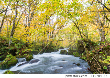 Towada City, Aomori Prefecture Oirase Gorge with Autumn Leaves 119704163
