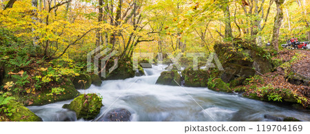 Towada City, Aomori Prefecture Oirase Gorge with Autumn Leaves Towada City, Aomori Prefecture Oirase Gorge with Autumn Leaves 119704169
