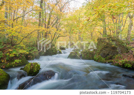青森縣十和田市奧入瀨紅葉峽谷 青森縣十和田市奧入瀨紅葉峽谷 119704173
