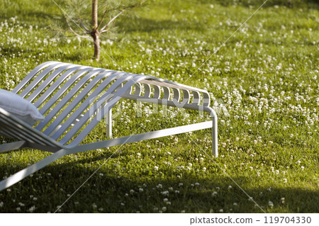 Blooming white clover flowers on the lawn in the garden. Blooming ecology nature landscape. White clover flowers among the grass. Landscape design concept. Saving wildlife concept. 119704330