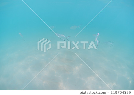 海底和天空風景 119704559