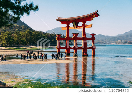 Vermilion Torii Gate Vermilion Torii Gate 119704853