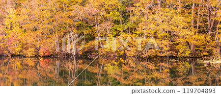 「青森郡」蔦沼的紅葉 「青森郡」蔦沼的紅葉 119704893