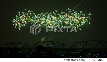 Fireworks on the iron bridge 119705065