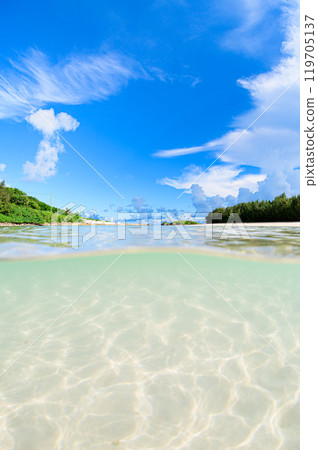 Beautifully shining sandy beach 119705137