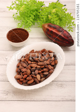 Cacao beans 119705161