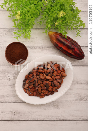 Cacao beans 119705163