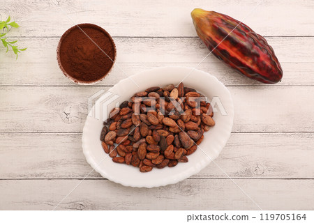 Cacao beans 119705164