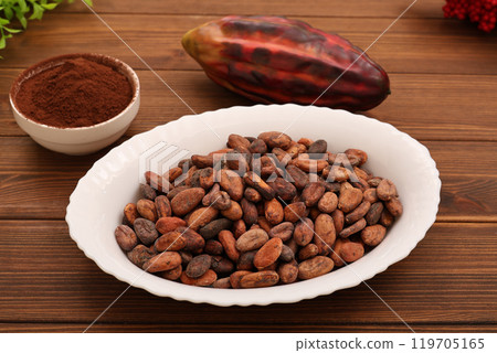 Cacao beans 119705165