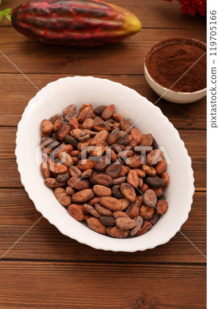 Cacao beans 119705166