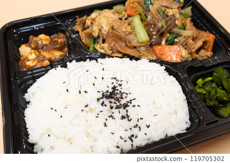 美味的中式便當,炸豬肉和蔬菜雞蛋便當 美味的中式便當,炸豬肉和蔬菜雞蛋便當 119705302