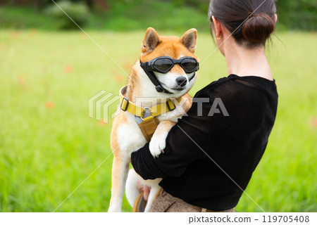 戴著狗墨鏡的柴犬 119705408