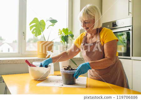 Gardening home. Woman farmer preparing to replant orchid plants by use a shovel to scoop the soil into the pot. Indoor gardening hobbies and jobs indoor plants at home. 119706886