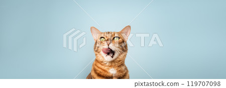 Contented ginger cat licks. 119707098