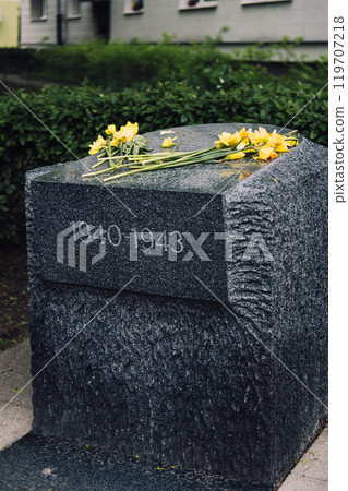 Yellow daffodils on memorial stone in Warsaw, commemorating the victims of the Warsaw Ghetto Uprising 119707218