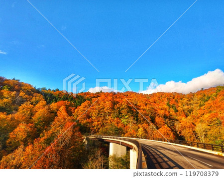 A drive through the autumn leaves on a clear autumn day A drive through the autumn leaves on a clear autumn day 119708379