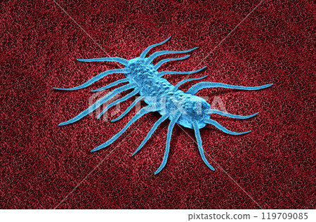 Listeria Symptoms 119709085